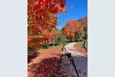 44 Washington Street #514, Brookline, MA 02445 - Photo 11