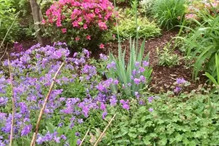 71-2 Chapel St, Shirley, MA 01464 - Photo 7