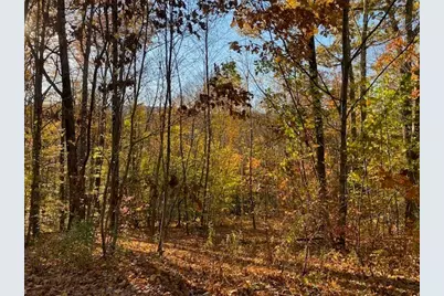 539 Fox Hill Road, Bernardston, MA 01337 - Photo 1