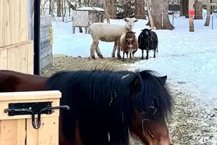 5 Putnam Hill Rd, Sutton, MA 01590 - Photo 33