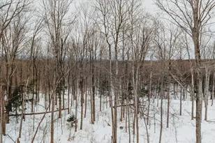 0 Blueberry Hill Rd (Lot 6), Westhampton, MA 01027 - Photo 11