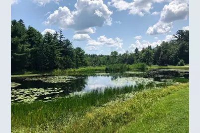 0 Gentian Hollow Rd, Becket, MA 01223 - Photo 3