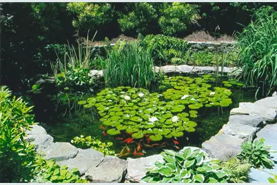 41 Court Street, Chatham, MA 02650 - Photo 37