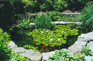 41 Court St, Chatham, MA 02650 - Photo 37