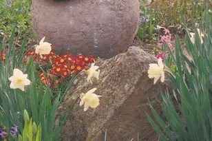 41 Court St, Chatham, MA 02650 - Photo 35