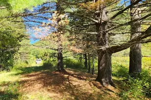 2151 Route 2, Charlemont, MA 01339 - Photo 15