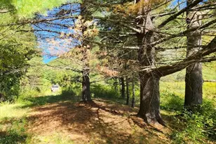 2151 Route 2, Charlemont, MA 01339 - Photo 15