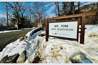 8 Oakdale Pl #2, Easthampton, MA 01027 - Photo 23