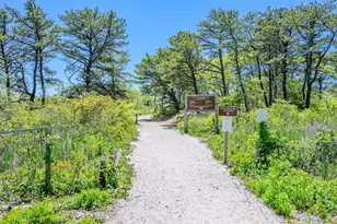 169 Tisquantum, Chatham, MA 02633 - Photo 35