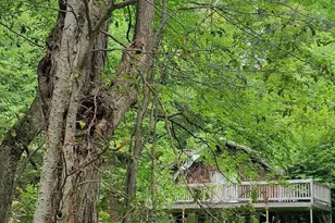 39 Hawley St, Plainfield, MA 01070 - Photo 3