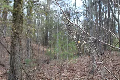 Lot 14 Center Street, Palmer, MA 01069 - Photo 7