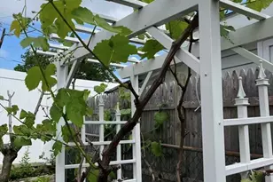 20 Ellington Rd, Quincy, MA 02170 - Photo 15