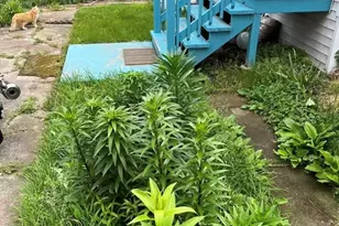 20 Ellington Rd, Quincy, MA 02170 - Photo 13