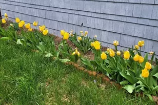 2 Oak St, Easthampton, MA 01027 - Photo 39