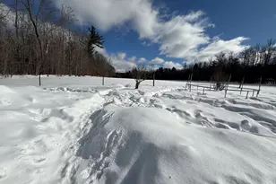 311 Cummington Rd, Ashfield, MA 01330 - Photo 9