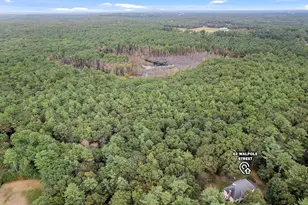 62 Walpole St, Dover, MA 02030 - Photo 21