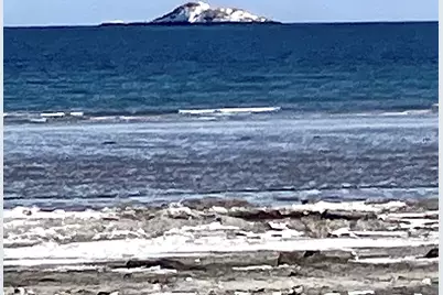 50 South Common St #403, Lynn, MA 01902 - Photo 5