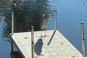 83 Lake Dr, Barnstable, MA 02632 - Photo 3