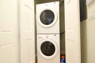 439 Cardinal Medeiros Ave, Cambridge, MA 02141 - Photo 5