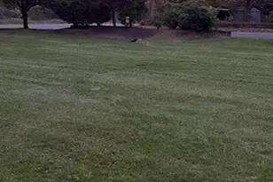 1 Maura Elizabeth Ln, Foxboro, MA 02035 - Photo 37