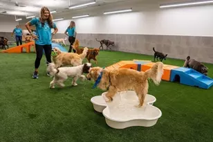 240 Devonshire St, Boston, MA 02110 - Photo 41