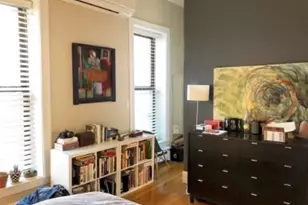 220 W Springfield St, Boston, MA 02118 - Photo 5