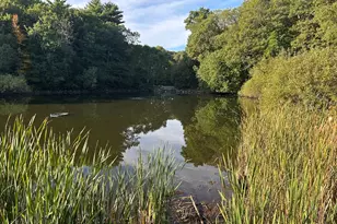 2 Bellevue Rd, Arlington, MA 02476 - Photo 39