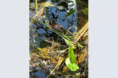 2 Bellevue Road, Arlington, MA 02476 - Photo 37