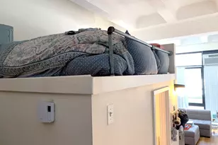 12 Stoneholm, Boston, MA 02115 - Photo 5