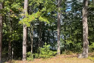 18 B Pilgrim Dr, Westford, MA 01886 - Photo 25