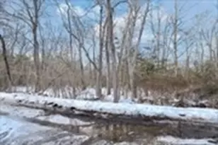 68 Gisele's Way, New Bedford, MA 02745 - Photo 1