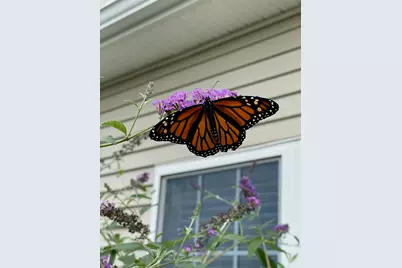 831 Ledgewood Way #831, Clinton, MA 01510 - Photo 41