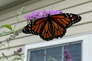 831 Ledgewood Way, Clinton, MA 01510 - Photo 41