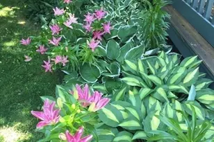 24 Lebeaux Dr, Shrewsbury, MA 01545 - Photo 31