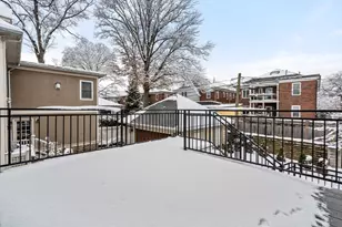 116 Thorndike St, Brookline, MA 02446 - Photo 31