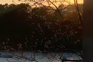 36 Little Neck Ln, Mashpee, MA 02649 - Photo 29