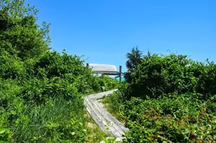 16 Frog Hollow, Tisbury, MA 02557 - Photo 3