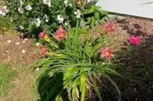 21 Brae Burn Ln, Yarmouth, MA 02664 - Photo 3