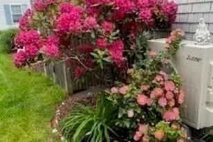 21 Brae Burn Ln, Yarmouth, MA 02664 - Photo 5