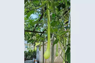 560 Worcester St, Wellesley, MA 02481 - Photo 39