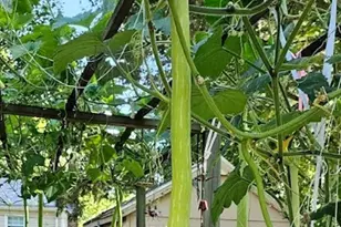 560 Worcester St, Wellesley, MA 02481 - Photo 39