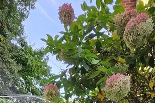 560 Worcester St, Wellesley, MA 02481 - Photo 41