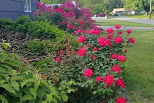 14 Ridgefield Dr, Framingham, MA 01701 - Photo 39