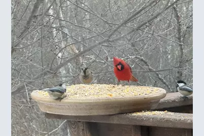 65 Brookdale Cir #65, Shrewsbury, MA 01545 - Photo 33