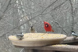 65 Brookdale Cir, Shrewsbury, MA 01545 - Photo 33