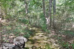 21 & 25 Fulling Mill Rd, Chilmark, MA 02535 - Photo 27