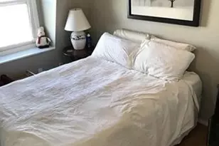 253 Gold St, Boston, MA 02127 - Photo 5