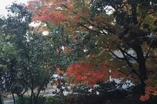 242 Pleasant St, Leominster, MA 01453 - Photo 33