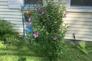 242 Pleasant St, Leominster, MA 01453 - Photo 35
