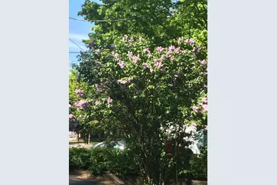 242 Pleasant Street, Leominster, MA 01453 - Photo 25